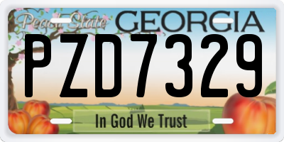 GA license plate PZD7329