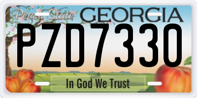 GA license plate PZD7330
