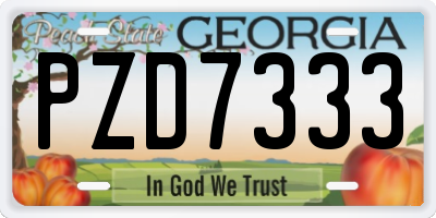 GA license plate PZD7333