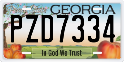 GA license plate PZD7334