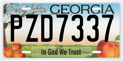 GA license plate PZD7337