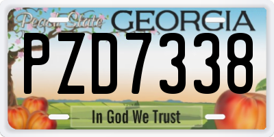 GA license plate PZD7338