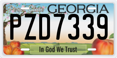 GA license plate PZD7339