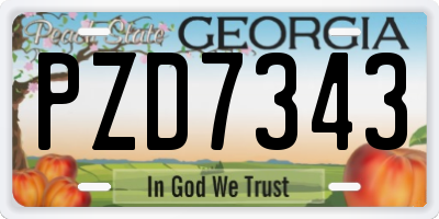 GA license plate PZD7343