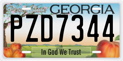 GA license plate PZD7344