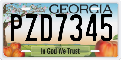 GA license plate PZD7345