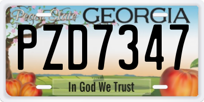 GA license plate PZD7347