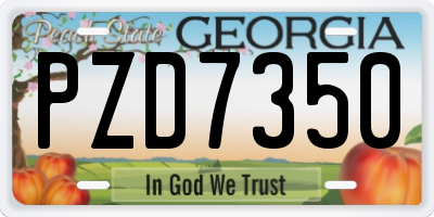 GA license plate PZD7350