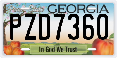 GA license plate PZD7360