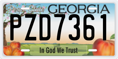 GA license plate PZD7361