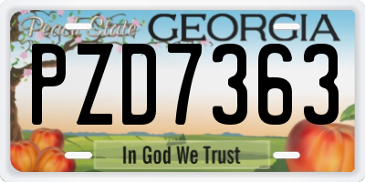GA license plate PZD7363
