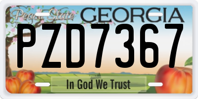 GA license plate PZD7367