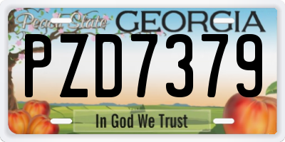 GA license plate PZD7379