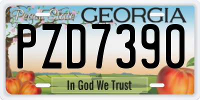GA license plate PZD7390
