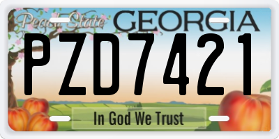 GA license plate PZD7421