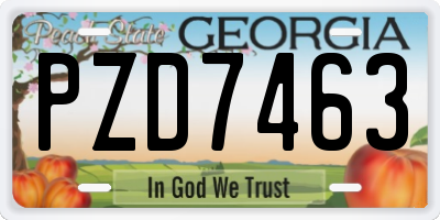 GA license plate PZD7463