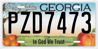 GA license plate PZD7473