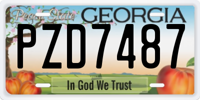 GA license plate PZD7487