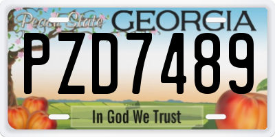 GA license plate PZD7489