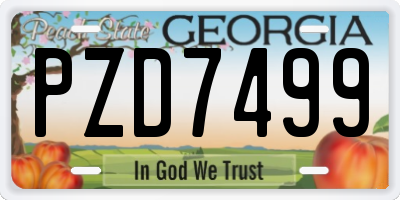 GA license plate PZD7499