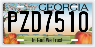 GA license plate PZD7510