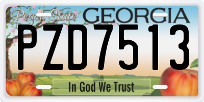 GA license plate PZD7513
