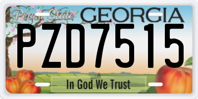 GA license plate PZD7515