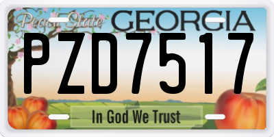 GA license plate PZD7517