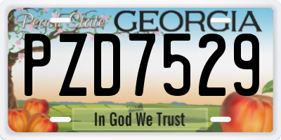 GA license plate PZD7529