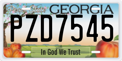 GA license plate PZD7545
