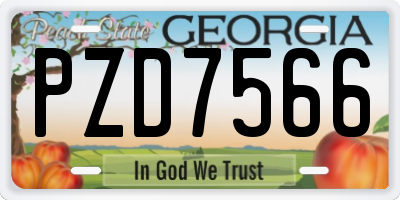 GA license plate PZD7566