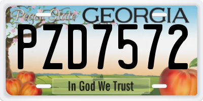 GA license plate PZD7572