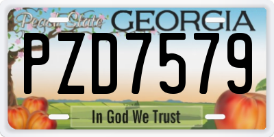 GA license plate PZD7579