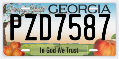 GA license plate PZD7587