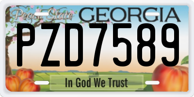 GA license plate PZD7589