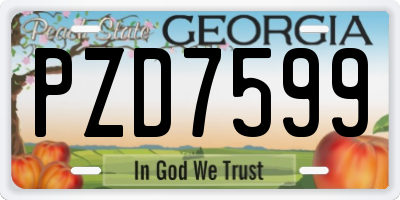 GA license plate PZD7599