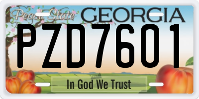 GA license plate PZD7601