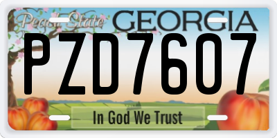 GA license plate PZD7607
