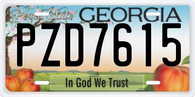 GA license plate PZD7615