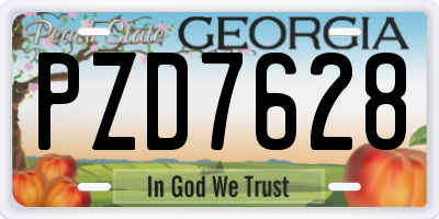 GA license plate PZD7628