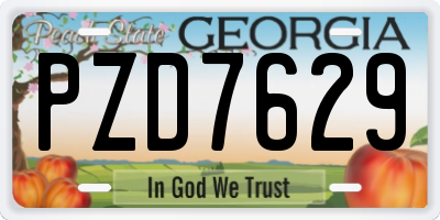 GA license plate PZD7629