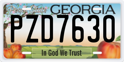 GA license plate PZD7630