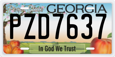 GA license plate PZD7637