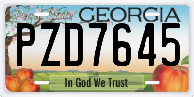 GA license plate PZD7645