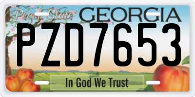 GA license plate PZD7653