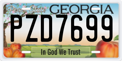 GA license plate PZD7699