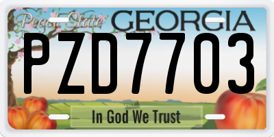 GA license plate PZD7703