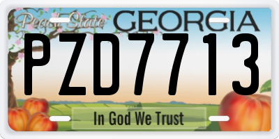 GA license plate PZD7713