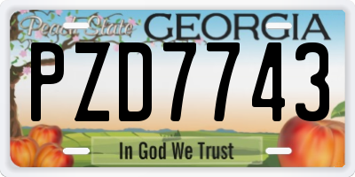 GA license plate PZD7743