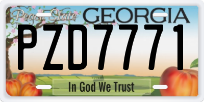 GA license plate PZD7771